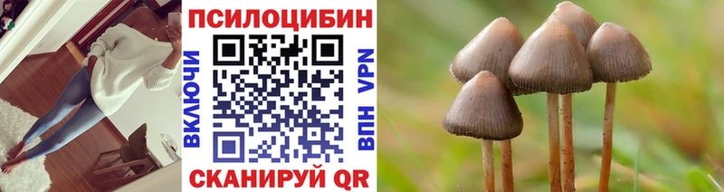 Галлюциногенные грибы MAGIC MUSHROOMS Чёрмоз